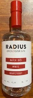 Radius gin Batch 045 45,4%