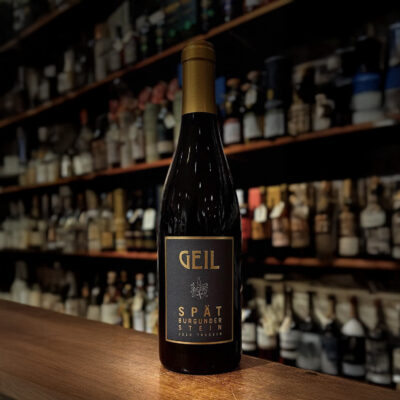 Weingut Geil Spätburgunder Stein Trocken Rheinhessen 2020