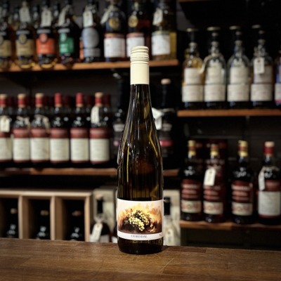 Fjorddal Solaris Holbæk 2024